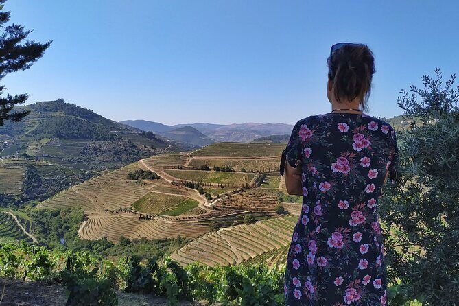Douro Valley Prime Tour: Wine Tastings, Boat and Lunch from Porto - Who Will Love This Tour?