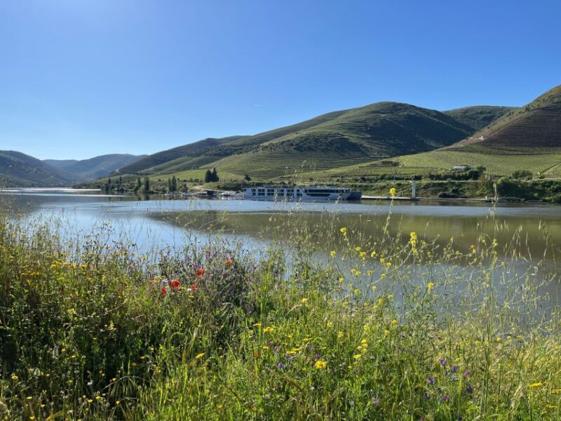Douro Valley: Private Airplane Tour Around the River Douro - Authentic Insights from Travelers