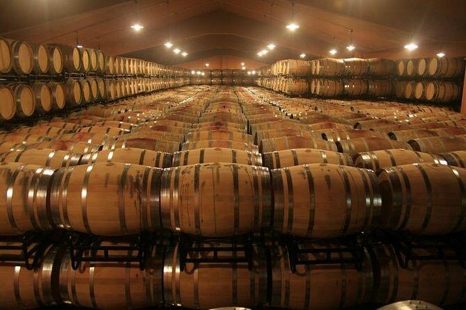 Douro Valley private day tour from Porto - Exploring the Douro Valley with a Private Day Tour from Porto