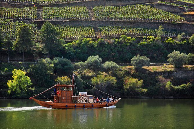 Douro Valley Private Full-Day Tour from Porto - Key Points