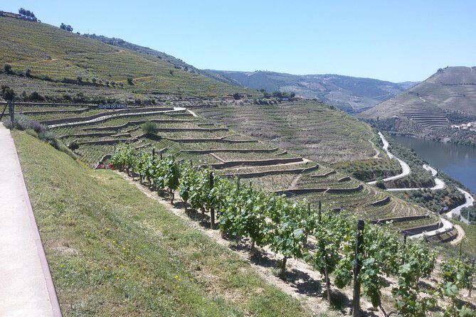 Douro Valley Private Premium Tour with Wine Tasting (1 to 4 people) - What’s Included and What’s Not