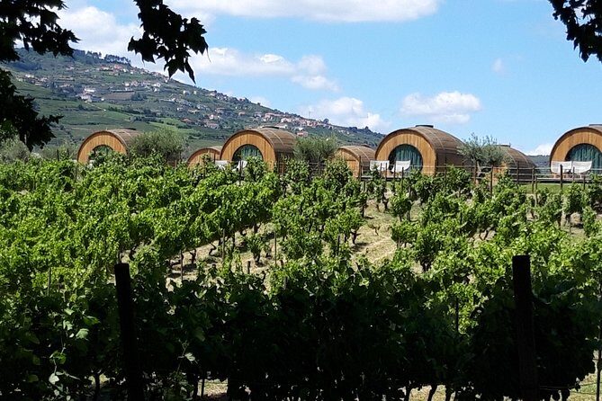 Douro Valley Private Premium Tour with Wine Tasting (1 to 4 people) - Pricing and Overall Value