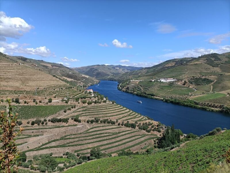 Douro Valley: Private Sommelier Tour with 3 Wineries & Lunch - Who Will Love This Tour?