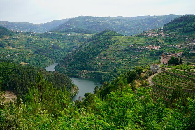 Douro Valley private tour from Lisbon - The Experience in Detail