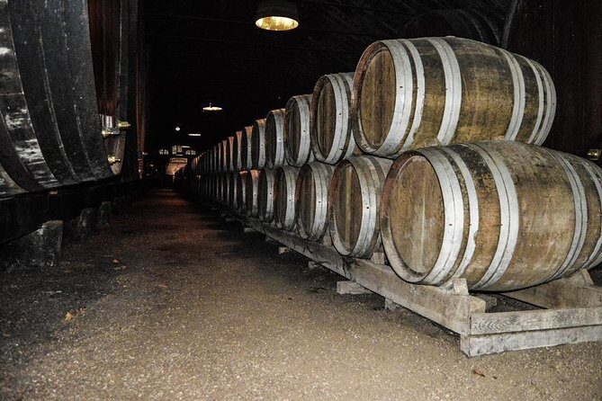 Douro Valley Private Tour from Oporto - A Detailed Look at the Douro Valley Private Tour