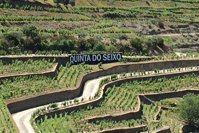 Douro Valley Private Tour from Oporto - Who should consider this tour?