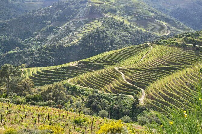 Douro Valley private tour full day - Viewpoint at Casal de Loivos