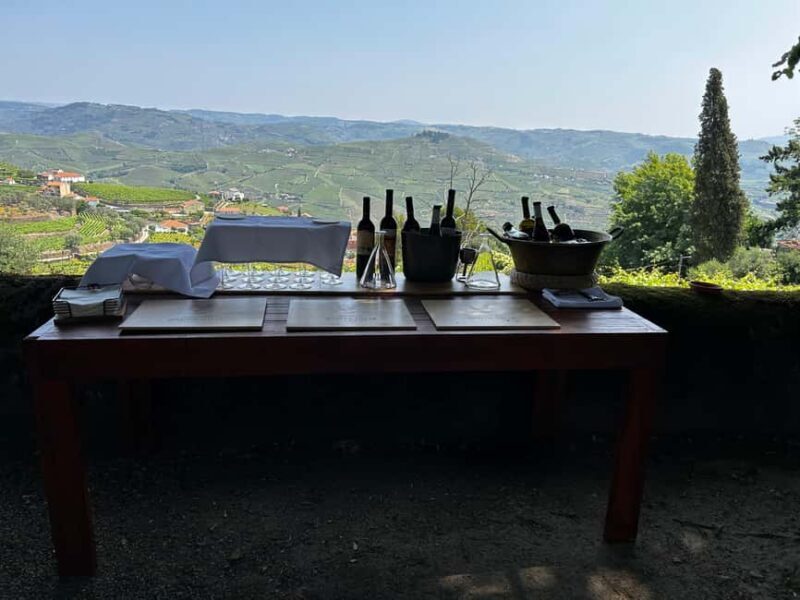 Douro Valley: Private Tour & Guided Wine & Olive Oil Tasting - Exploring the Heart of Quinta de Santa Júlia