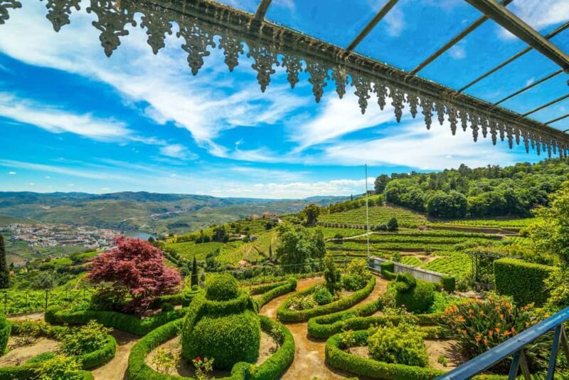 Douro Valley: Private Tour & Guided Wine & Olive Oil Tasting - Final Thoughts