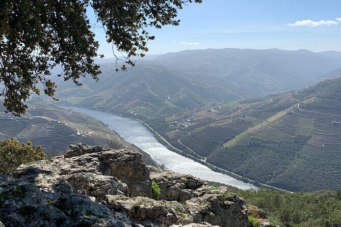 Douro Valley private tour includes wine tasting and boat trip - An In-Depth Look at the Douro Valley Private Tour