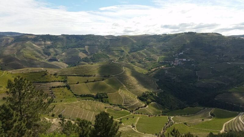 Douro Valley Private Tour - Who Should Consider This Tour?