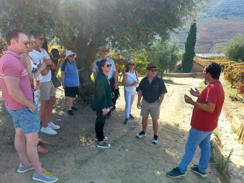 Douro Valley private tour & wine experience including lunch - Key Points