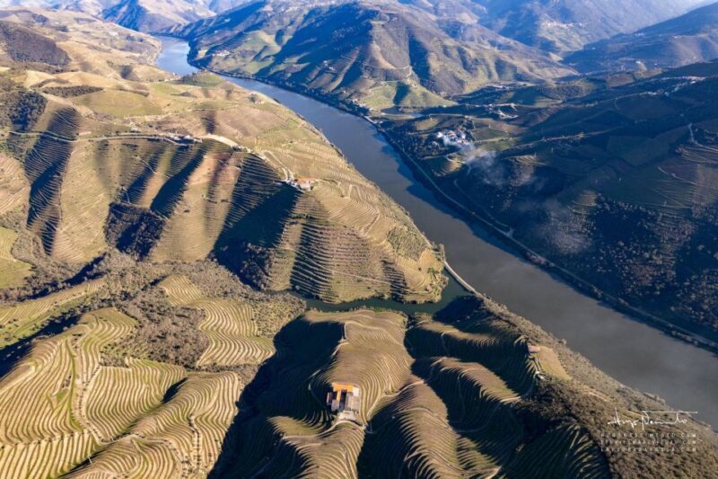 Douro Valley private tour & wine experience including lunch - The Experience in Detail