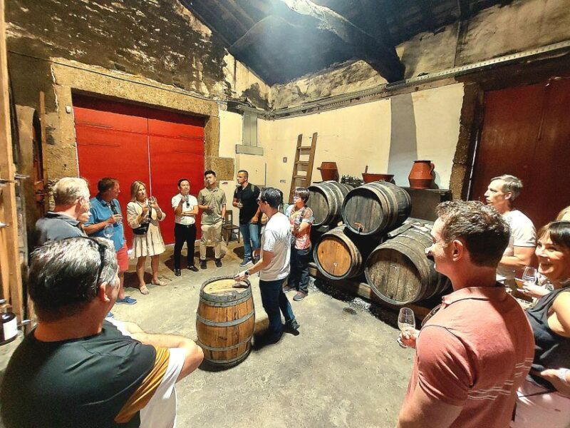 Douro Valley private tour & wine experience including lunch - Practical Considerations