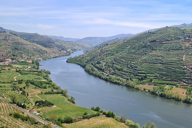 Douro Valley Private Tour (winery + boat + viewpoint) - Key Points
