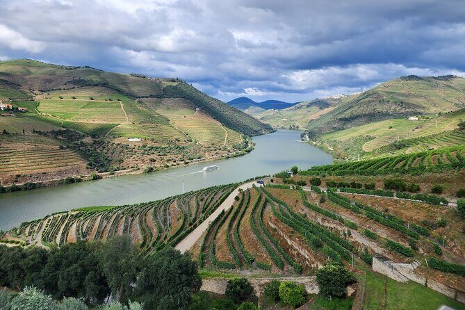 Douro Valley Private Tour (winery + boat + viewpoint) - Who Is This Tour Best For?