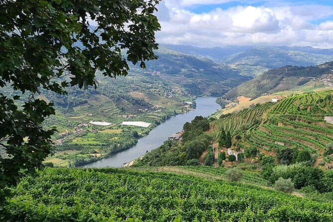 Douro Valley Private Tour (winery + boat + viewpoint) - Wrapping It Up