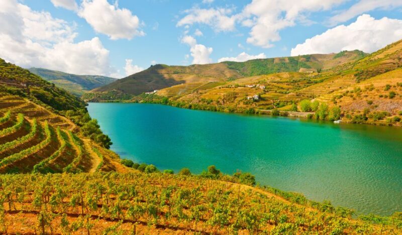 Douro Valley Private Tour with 2 wine tastings - Key Points