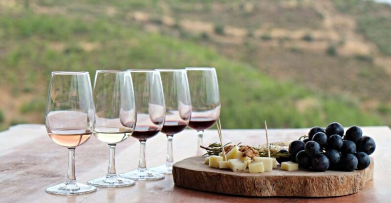 Douro Valley Private Tour with 2 wine tastings - A Closer Look at the Douro Valley Private Tour