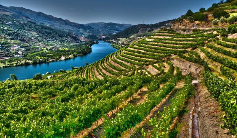 Douro Valley Private Tour with 2 wine tastings - Who Should Consider This Tour?