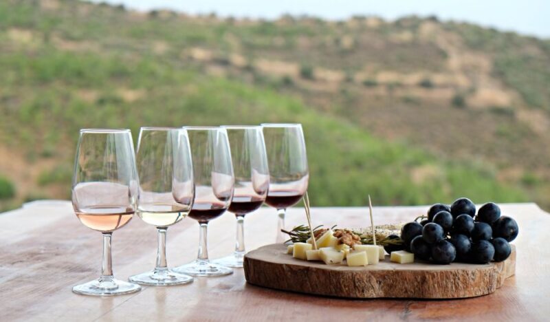 Douro Valley Private Tour with 2 wine tastings - Final Thoughts: Is It Right for You?