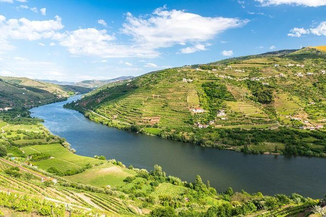 Douro Valley private tour with wine tasting and boat tour - Authentic Experiences and Traveler Feedback