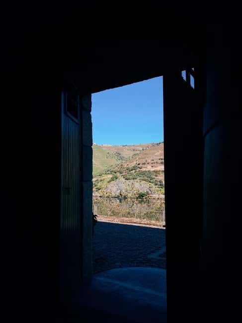 Douro Valley: PRIVATE TOURS with 1 Wine Tasting - Key Points