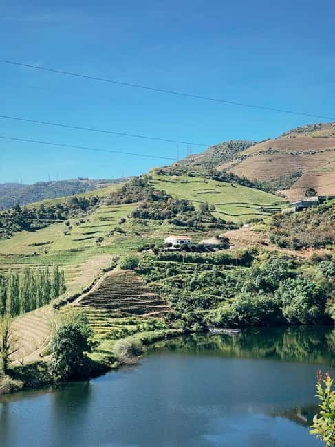 Douro Valley: PRIVATE TOURS with 1 Wine Tasting - FAQs about the Douro Valley Private Tour