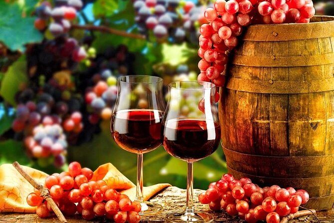 Douro Valley Private Wine Tour from Lisbon - The Experience in Detail