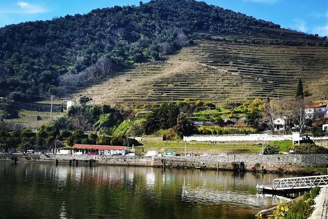 Douro Valley Private Wine Tour from Lisbon - Is It Worth It?