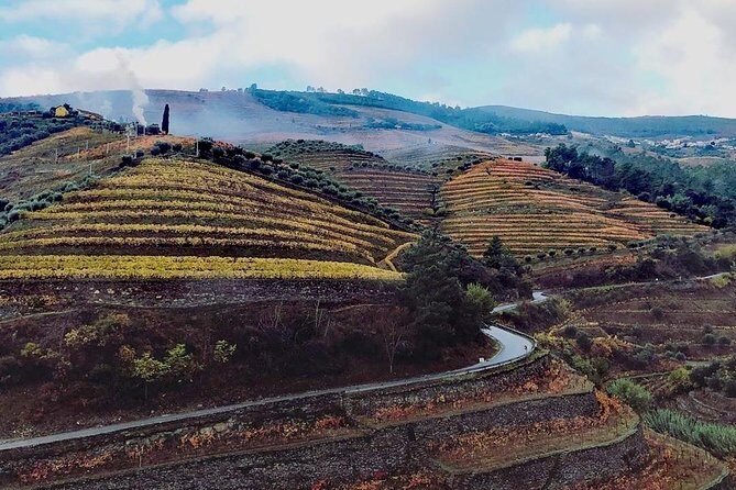 Douro Valley Private Wine Tour from Lisbon - Who Should Consider This Tour?