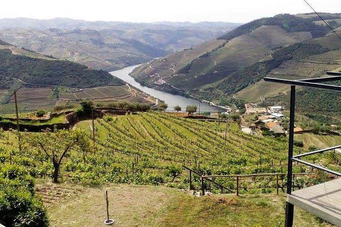 Douro Valley Private Wine Tour from Lisbon - FAQ About the Douro Valley Private Wine Tour from Lisbon
