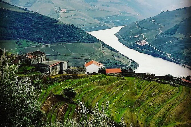 Douro Valley Private Wine Tour from Lisbon - Final Thoughts