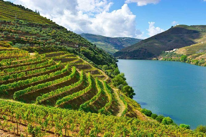 Douro Valley Private Wine Tour From Porto - Key Points