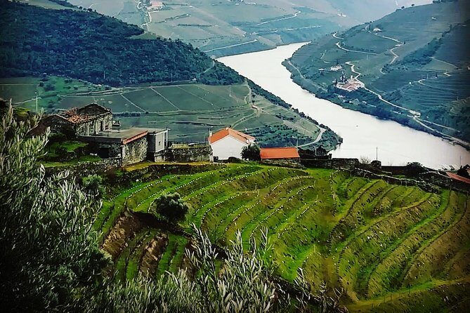 Douro Valley Private Wine Tour From Porto - A Closer Look at the Tour Experience