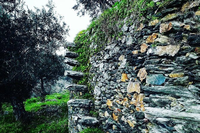 Douro Valley Private Wine Tour From Porto - Who Is This Tour Best For?