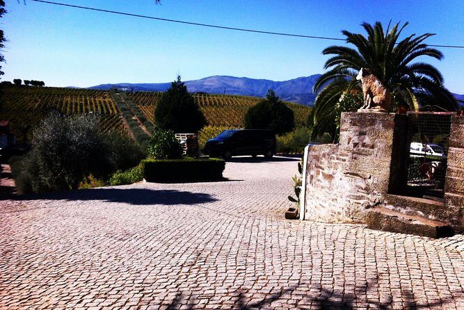 Douro Valley Private Wine Tour From Porto - Final Thoughts: Is It Worth It?