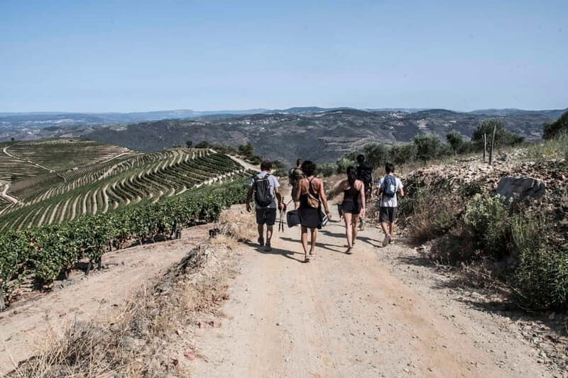 Douro Valley: Provesende and São Cristóvão Guided Hike - Key Points