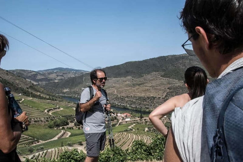 Douro Valley: Provesende and São Cristóvão Guided Hike - Why This Tour Stands Out