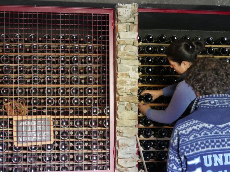 Douro Valley: Quinta do Tedo Winery Tour and Tasting - An Engaging Taste of Douro: What the Tour Offers