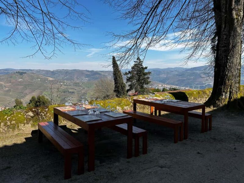 Douro Valley: Quinta Santa Júlia Tour, Wine Tasting & Lunch - Key Points