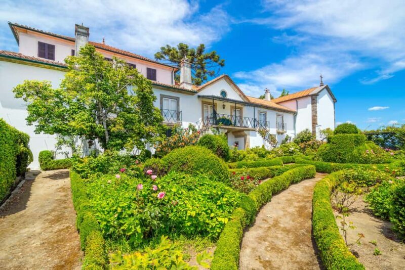 Douro Valley: Quinta Santa Júlia Tour, Wine Tasting & Lunch - FAQ