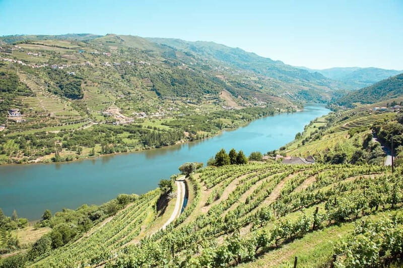 Douro Valley: Real Small-Group, Wine Tasting, Lunch & Boat - Price & Overall Value