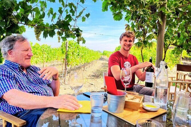 Douro Valley Small-Group Tour: 2 Wineries, Lunch, Optional Cruise - Deep Dive into the Experience