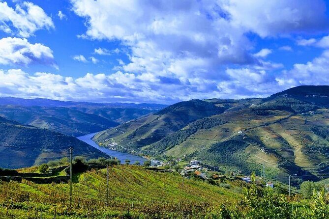 Douro Valley Small-Group Tour: 2 Wineries, Lunch, Optional Cruise - Who Is This Tour Best For?