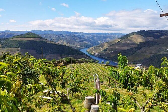 Douro Valley Small-Group Tour: 2 Wineries, Lunch, Optional Cruise - Final Thoughts