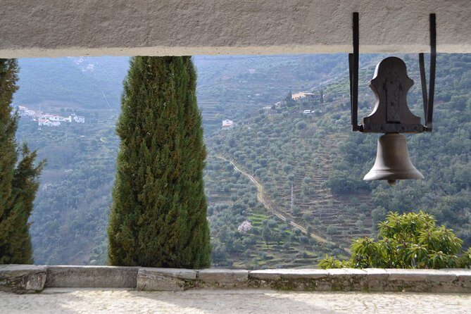 Douro Valley Tour: 2 Vineyard Visits, River Cruise, Winery Lunch - FAQ: Practical Questions Answered