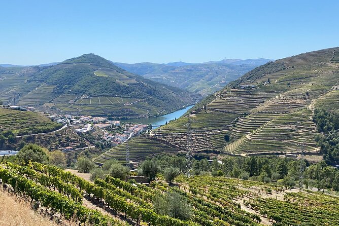 Douro Valley Tour - 3 Wine tastings, Lunch & river Cruise - Booking Considerations