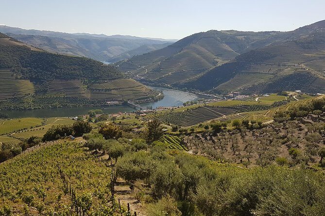 Douro Valley Tour Wine and breathtaking views - The Experience in Detail