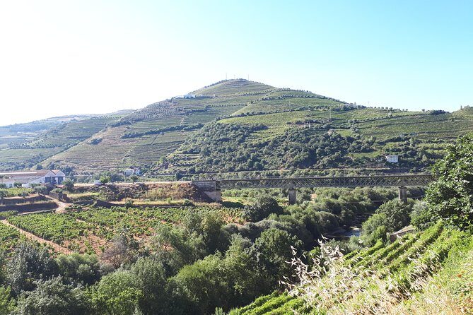 Douro Valley Tour (wine & Food) - In-Depth Look at the Stops